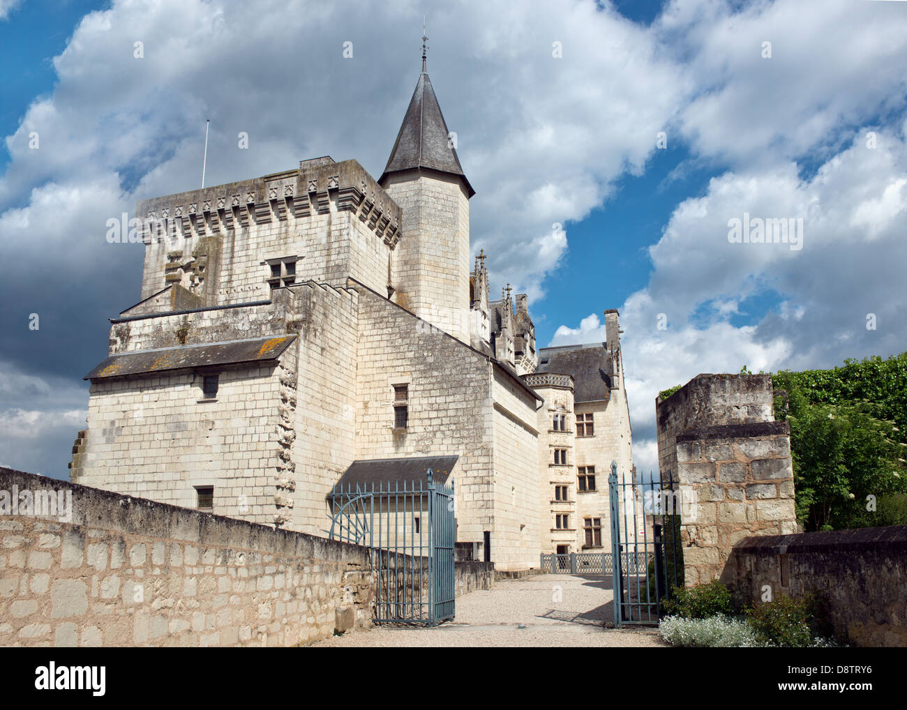 Château de Montsoreau Foto de stock