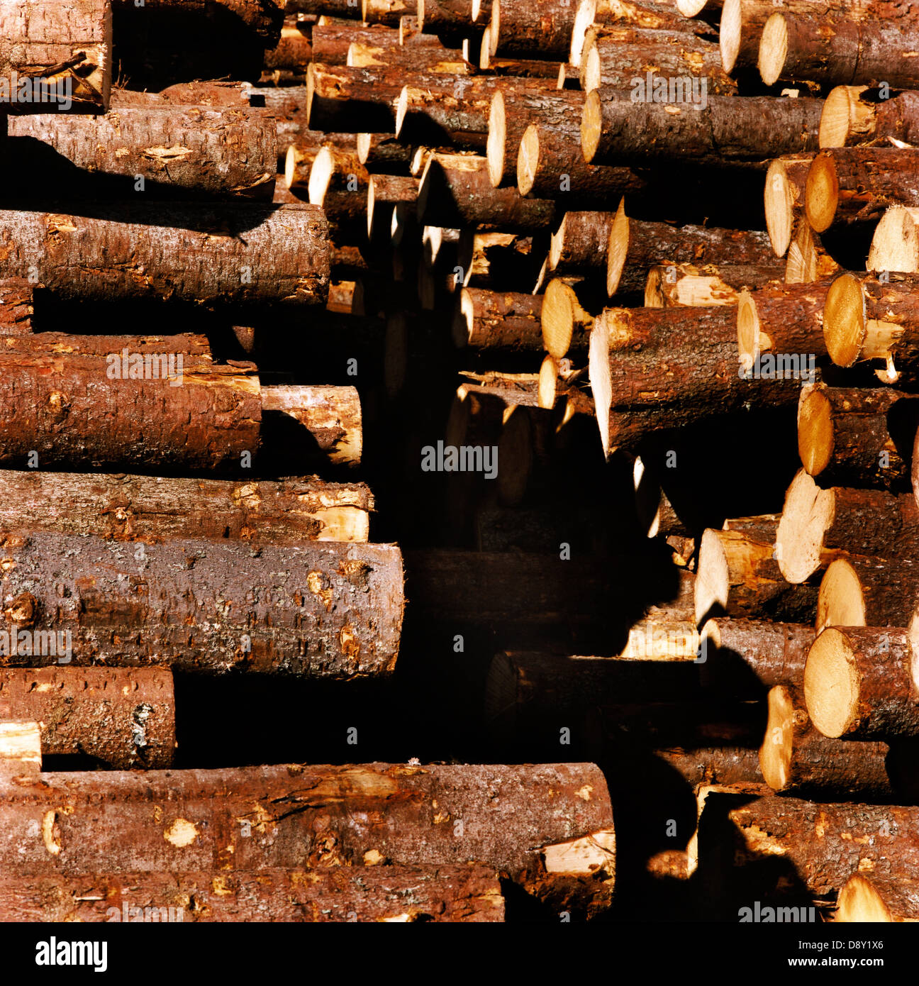 En montones de madera. Foto de stock