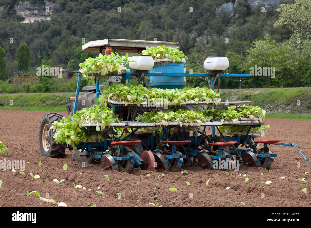 Tractor con plántulas listas para la siembra el valle del Dordoña Francia Europa. Foto de stock