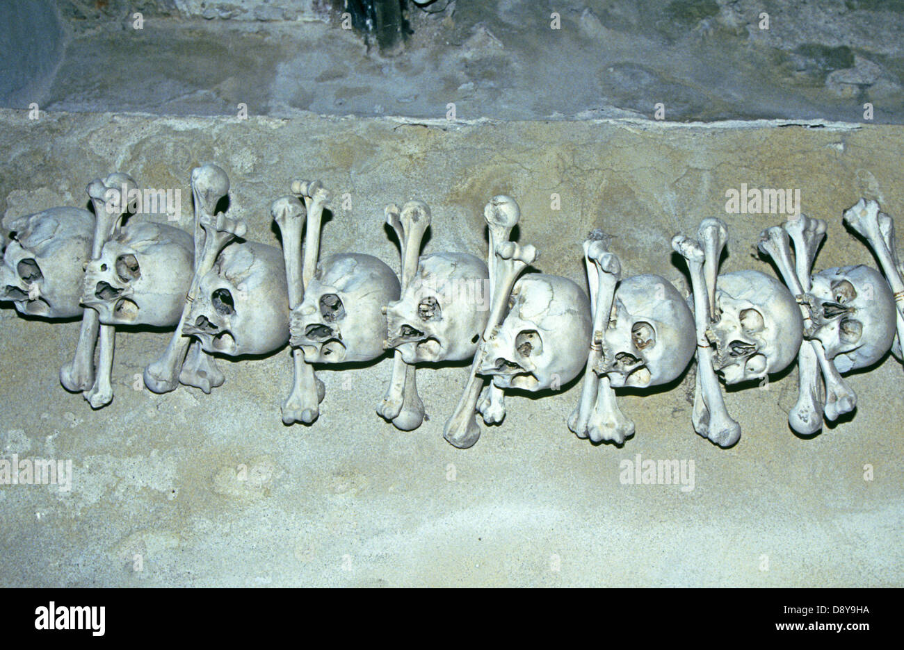 Cráneos humanos y huesos de la pierna en un osario en la República Checa, a raíz de la Muerte Negra en la época medieval. Foto de stock