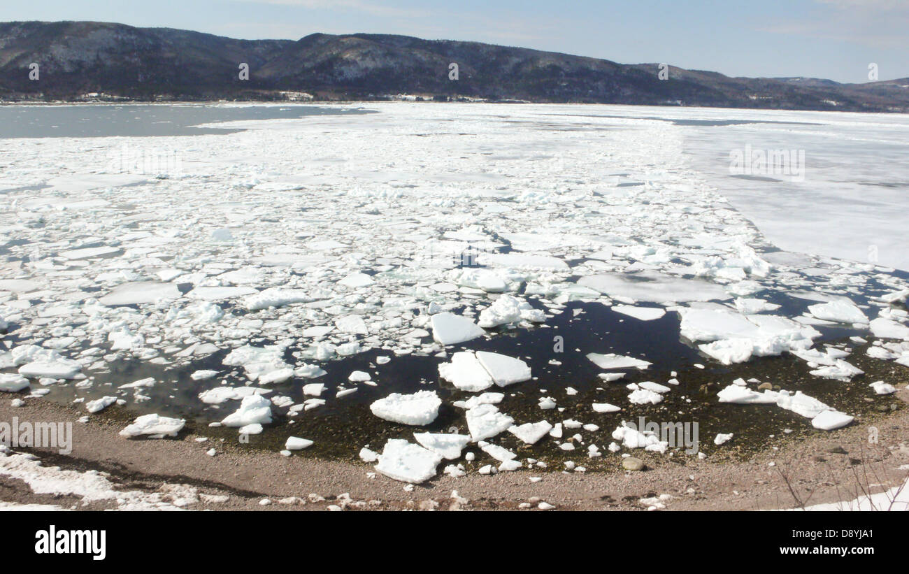 El hielo del Golfo de San Lorenzo migra a Cape Breton anualmente. Foto de stock