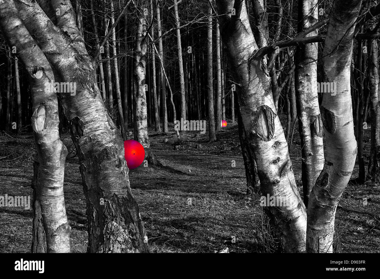 Bola brillante por árboles en el bosque, un místico abstracto concepto significativo Foto de stock