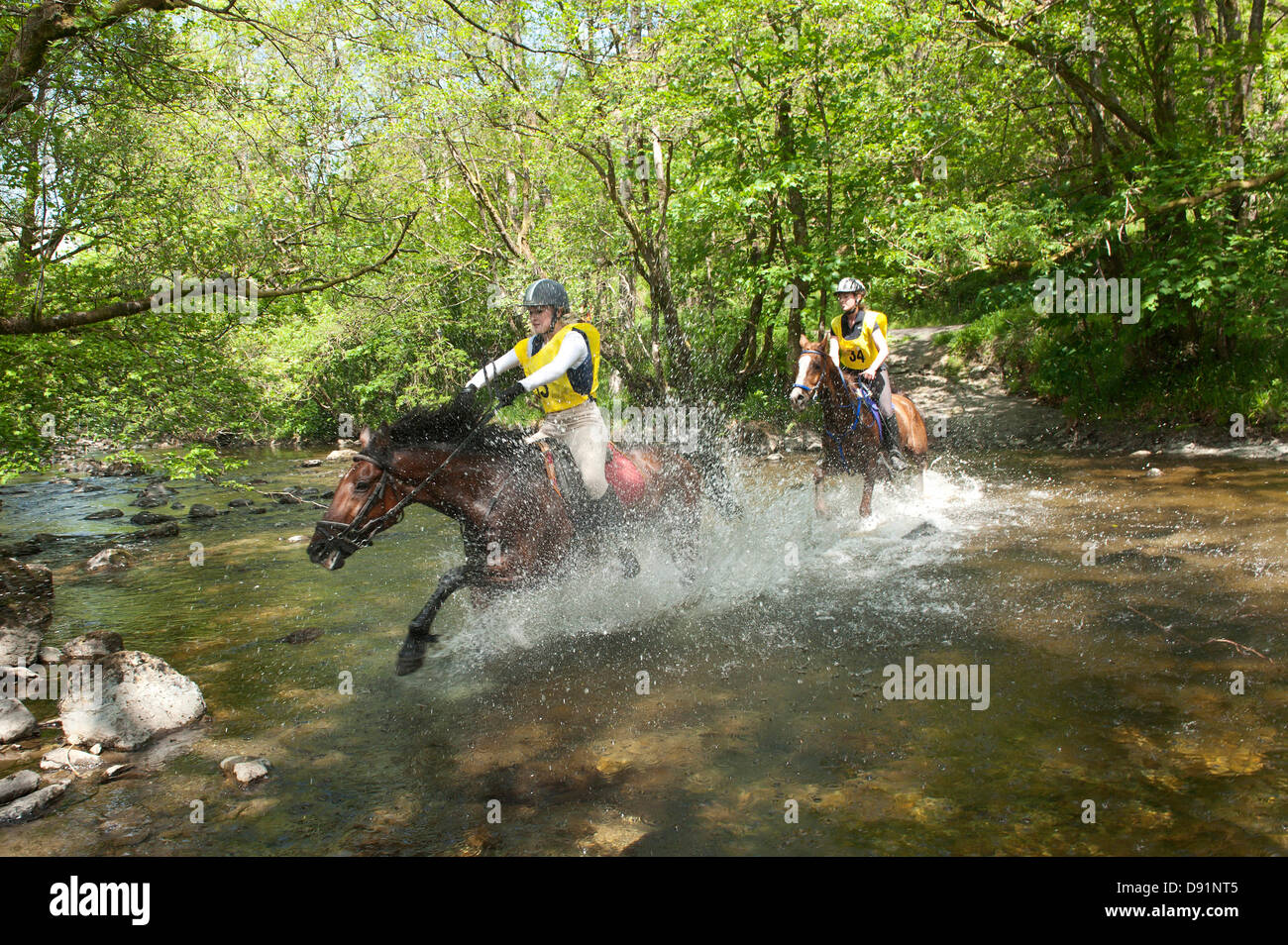Llanwrtyd Wells, Reino Unido. El 8 de junio de 2013. Alix Davies, 18 (el ganador) de Newbridge-on-Wye en Scott. 400 corredores compiten 65 caballos en el hombre V 23 caballos de milla maratón, más agotadoras terreno montañoso.El evento fue concebida por Gordon Green en su pub la Neuadd Arms en 1980 tras escuchando un debate sobre si un hombre es igual a un caballo que cruzan el país a través de la distancia. El premio en metálico para golpear a un caballo fue aumentado cada año por 1.000 libras esterlinas hasta Huw Lobb ganó £25,000 en 2004 derrotando al primer caballo por 2 minutos con un tiempo de 2:05:19. Crédito: Graham M. Lorenzo/Alamy Live News. Foto de stock