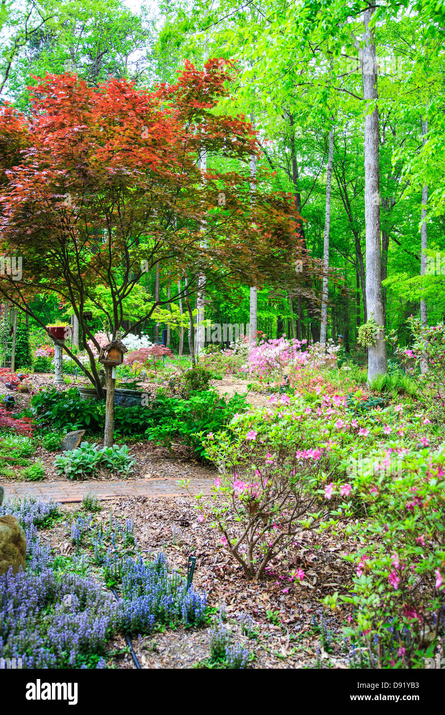 Un hermoso jardín en Carolina del Norte. Birhouses, árboles, flores y arbustos. Foto de stock