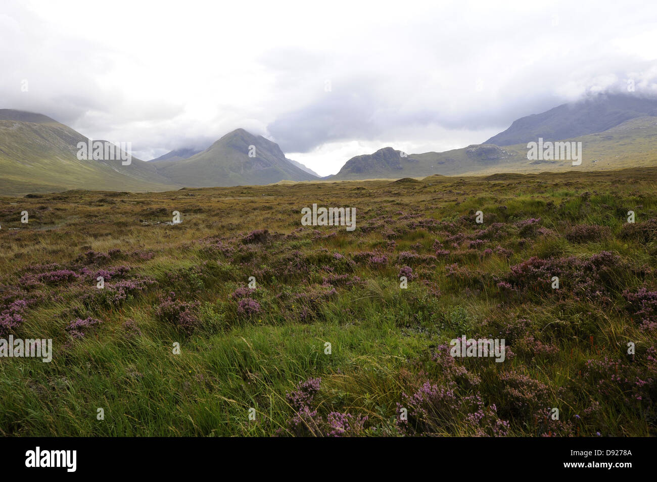 Highmoor, Cuillin Hills, Minginish, Isla de Skye, Escocia, Gran Bretaña Foto de stock