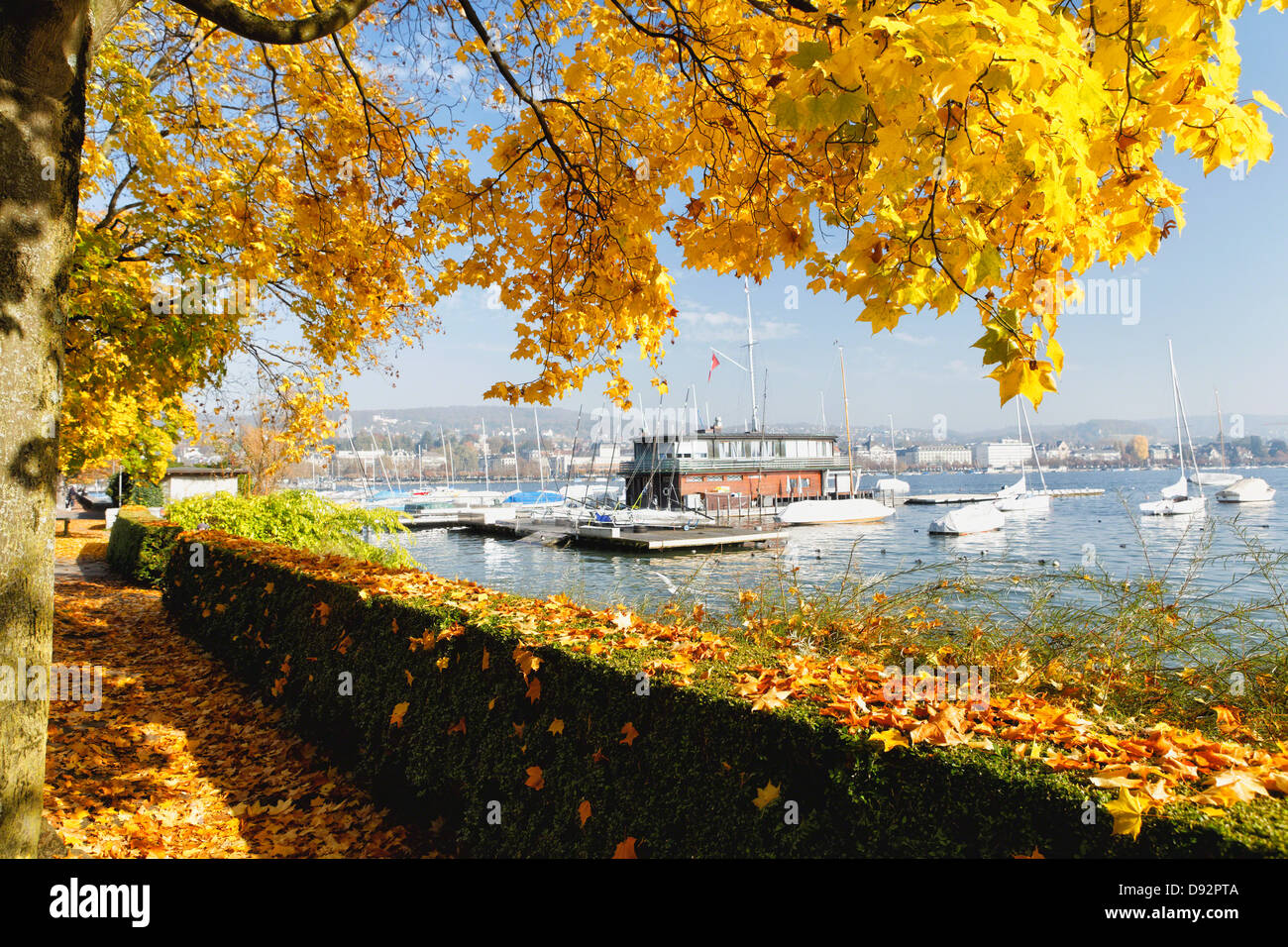 Soleado día de otoño en el lago de Zurich, Zurich, Suiza Foto de stock