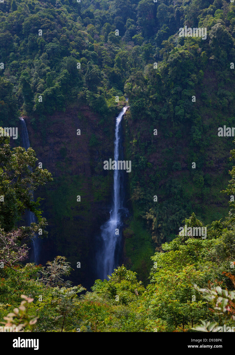 Tad Fane Cascada, Boloven, Laos Foto de stock