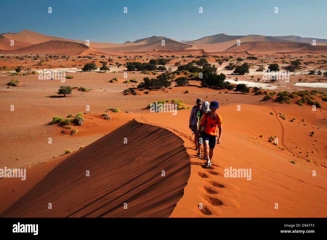 Escalada en familia en la duna de arena, el Parque Nacional Namib-Naukluft Sossusvlei, Namibia, África Foto de stock