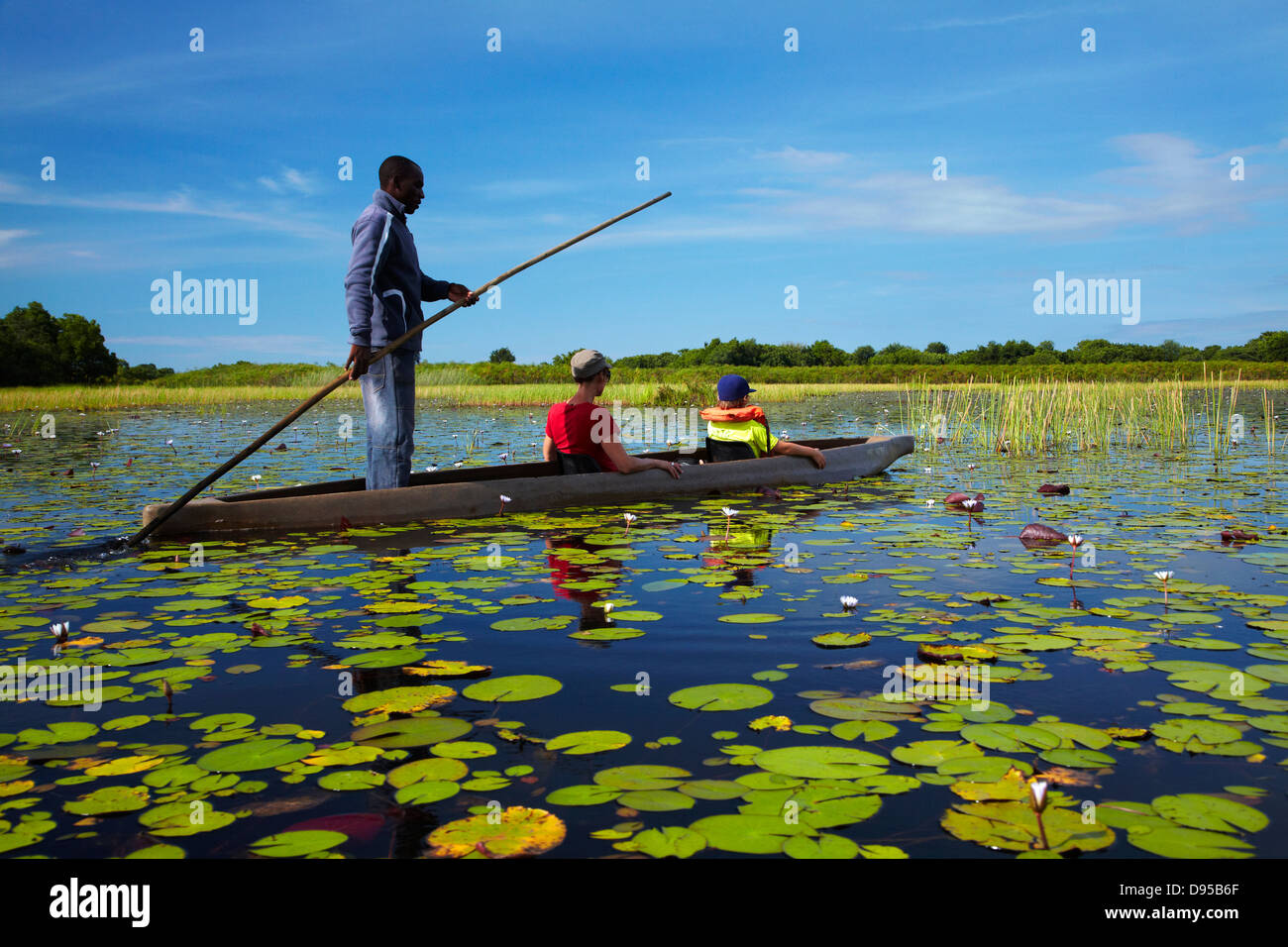 Los turistas se poled aunque lirio en mokoro (canoa), el delta del Okavango, Botswana, África Foto de stock