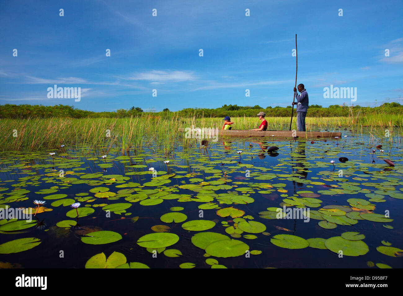 Los turistas se poled aunque lirio en mokoro (canoa), el delta del Okavango, Botswana, África Foto de stock