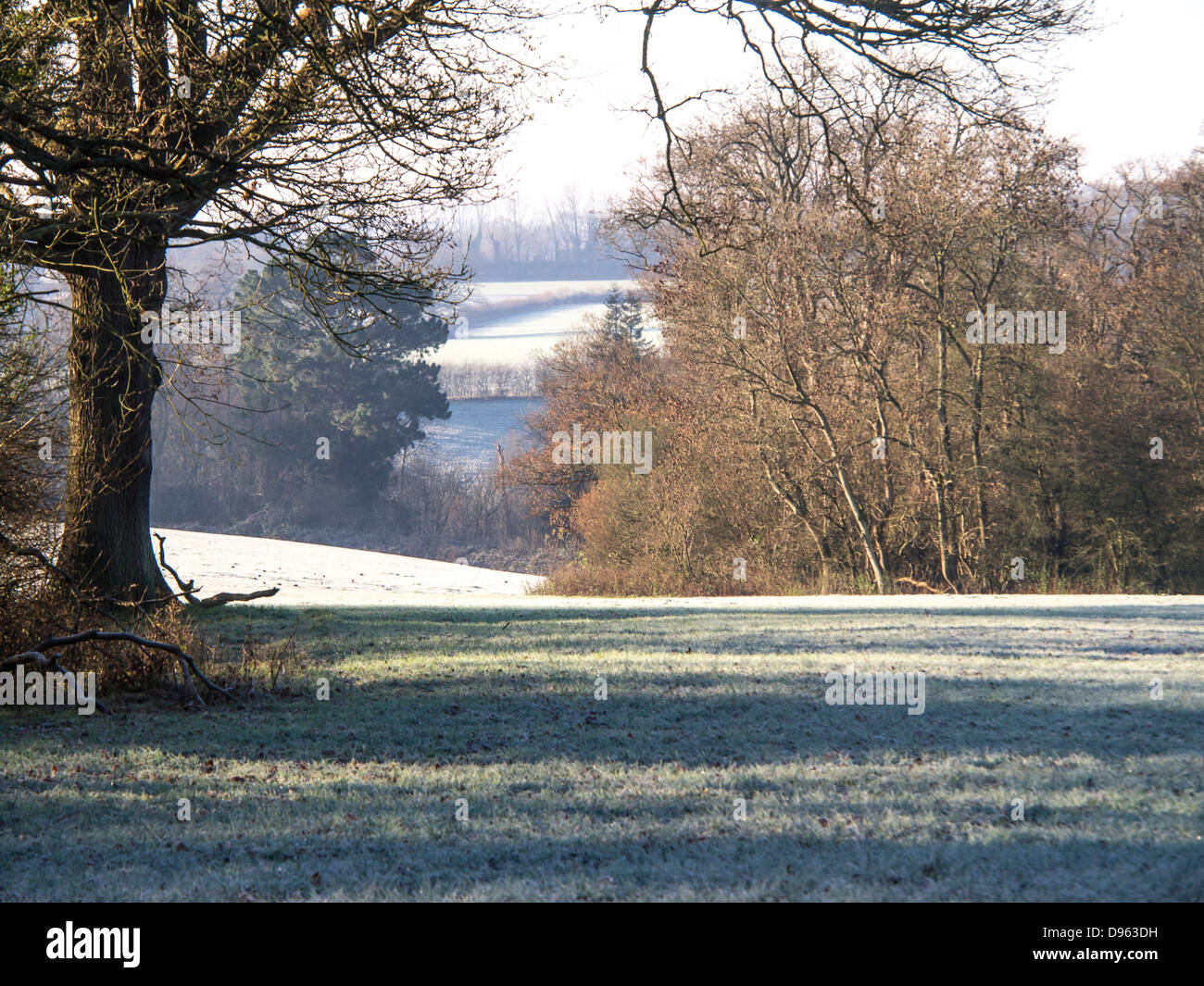 Los campos de pastoreo con escarcha en noviembre frío, en Kent, Inglaterra. Foto de stock