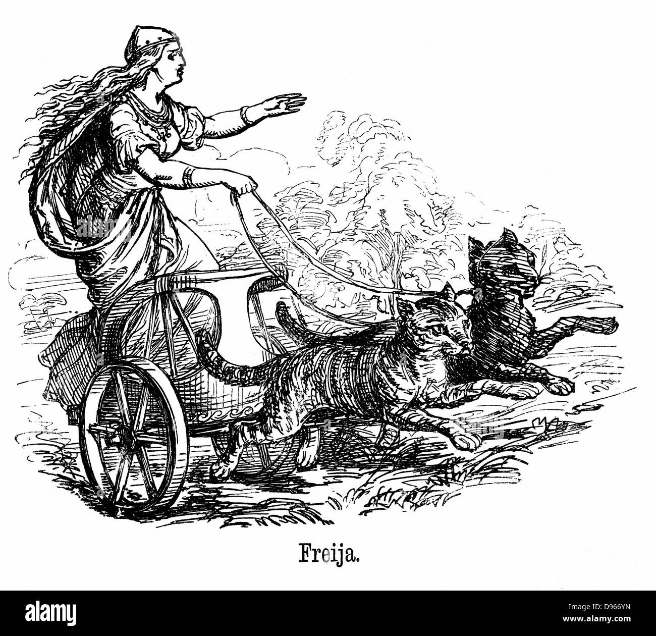 Freya o Frigg diosa del amor en la mitología escandinava, esposa de Wotan u Odin, conduce su carro tirado por gatos. El viernes es nombrado por ella. Grabado Foto de stock