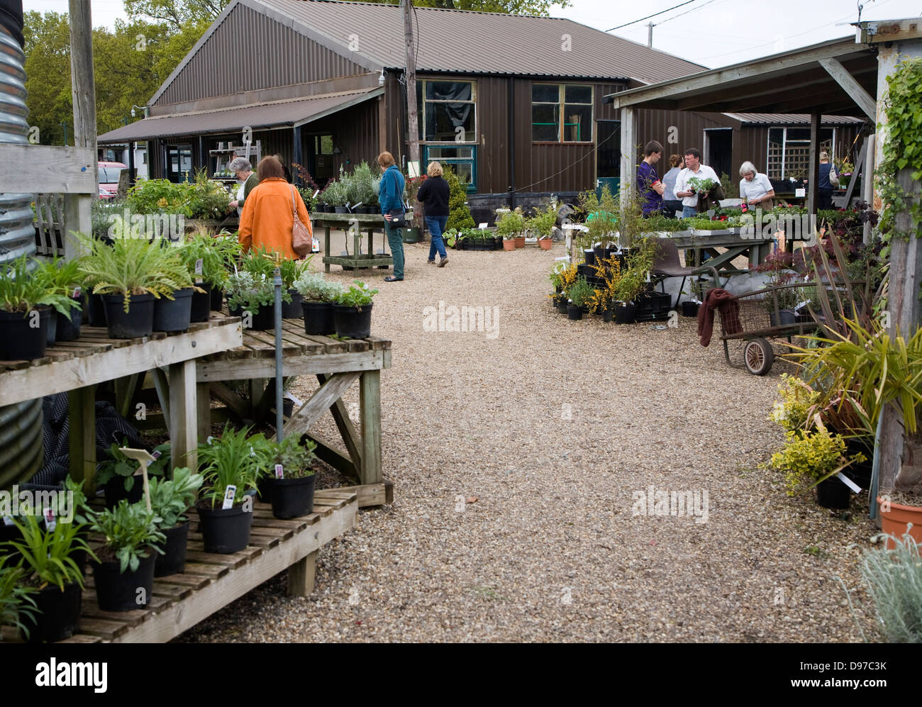 Las personas que compran plantas en vivero, centro Swanns Bromeswell, Suffolk, Inglaterra Foto de stock