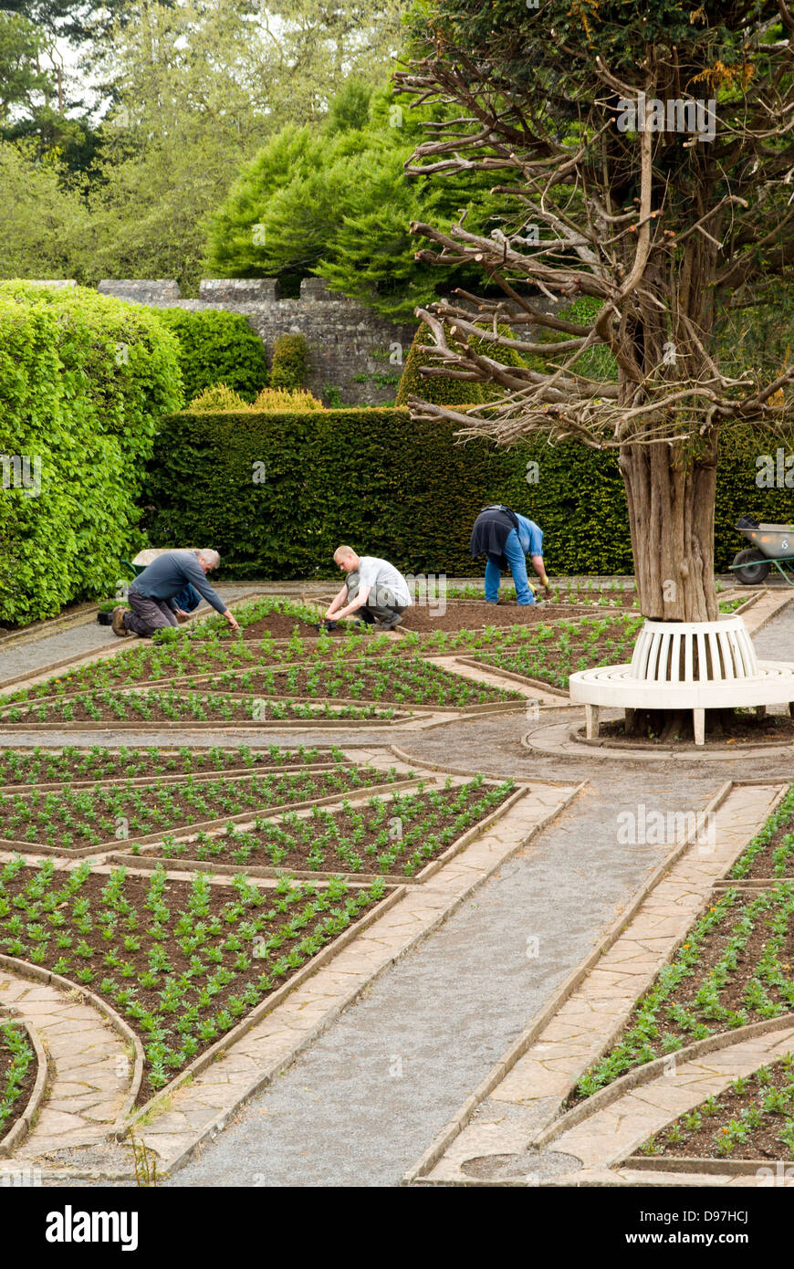 Jardineros trabajando en jardines, museo de historia nacional St Fagans/werin amgueddfa cymru, Cardiff, Gales. Foto de stock