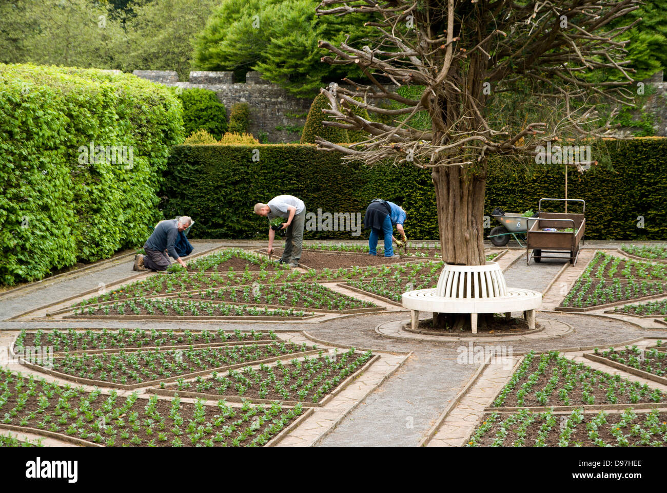 Jardineros trabajando en jardines, museo de historia nacional St Fagans/werin amgueddfa cymru, Cardiff, Gales. Foto de stock
