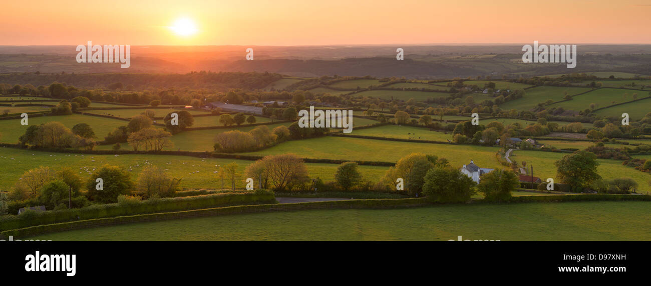 Puesta de sol más hermosa campiña de Devon rodante, Devon, Inglaterra. Verano (junio de 2013) Foto de stock