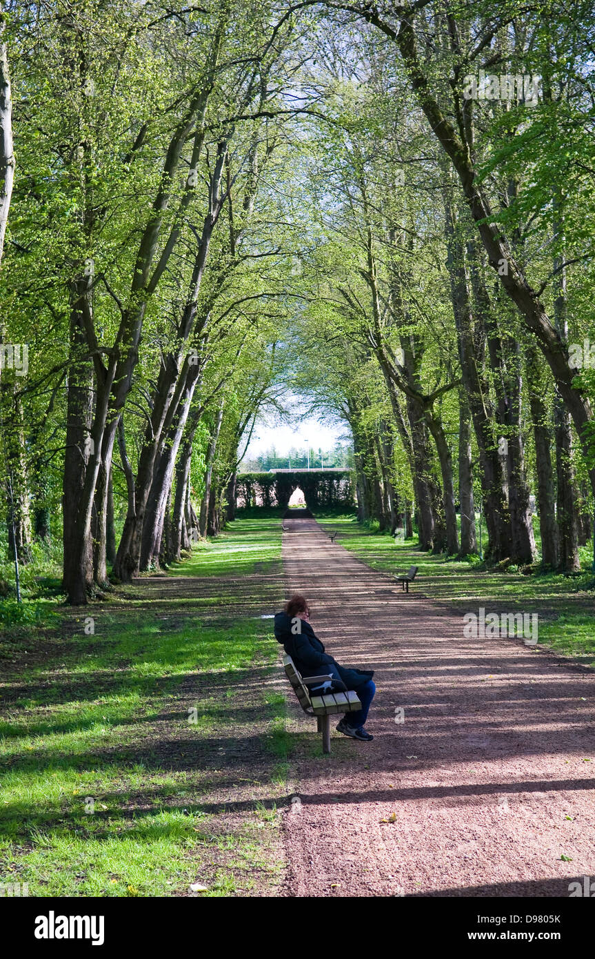 Los jardines del castillo de Antrim, Condado de Antrim, Irlanda del Norte, REINO UNIDO Foto de stock