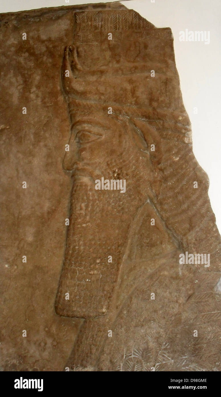 Cabeza de Toro alado. Asiria, alrededor de 728 AC. De Nimrud, Palacio Central. Este fragmento de un humano con cabeza de toro alado, de Tiglat-pileser III's Palace, está esculpida en bajorrelieve como un muro-panel. Hay un marcado contraste con las cifras colosales, muy en alto relieve, tanto de los períodos anteriores y posteriores. Foto de stock