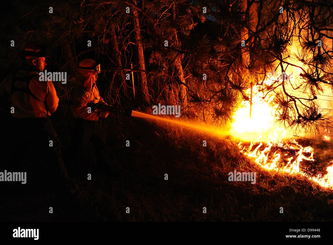 Los bomberos batalla un hotspot en el Bosque Negro fuego el 12 de junio de 2013 cerca de Colorado Spring, CO. El fuego ha matado a dos personas y destruyó más de 500 viviendas, convirtiéndose en el más destructivo de la pólvora en la historia de Colorado. Foto de stock