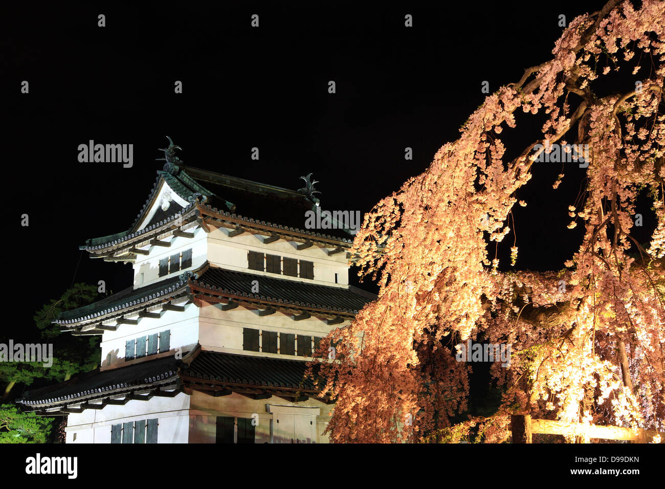 Luz de Hirosaki Castillo y flores de cerezo, Aomori, Japón Foto de stock