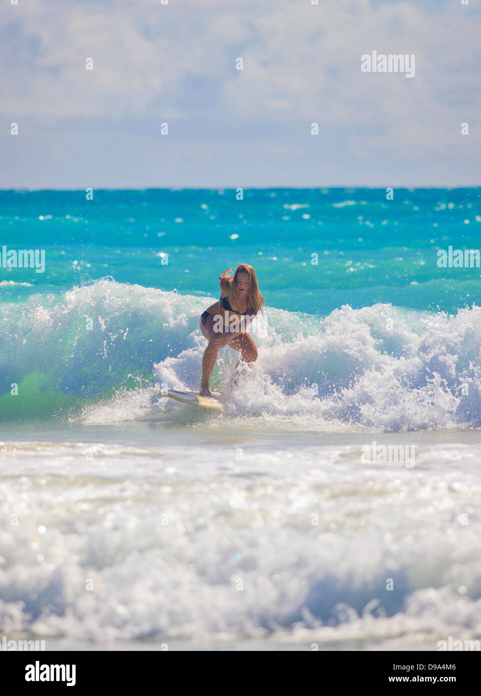 Chica rubia en bikini surfeando las olas en Hawai Fotografía de stock -  Alamy