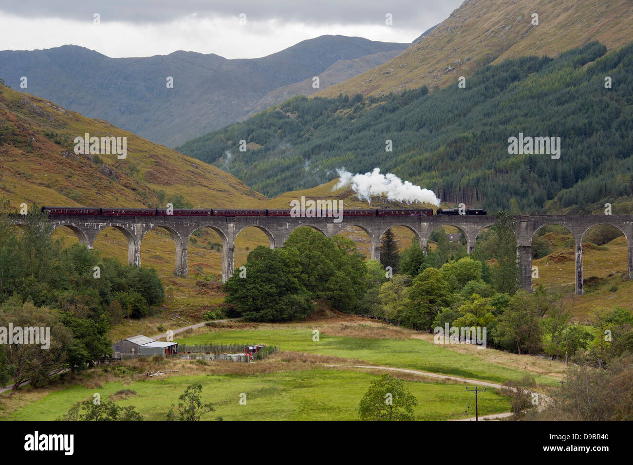 Un tren de vapor, el viaducto ferroviario, Glenfinnan, Highland, Escocia, Gran Bretaña, Europa, el Jacobite, Harry Potter , Dampfeisenba Foto de stock