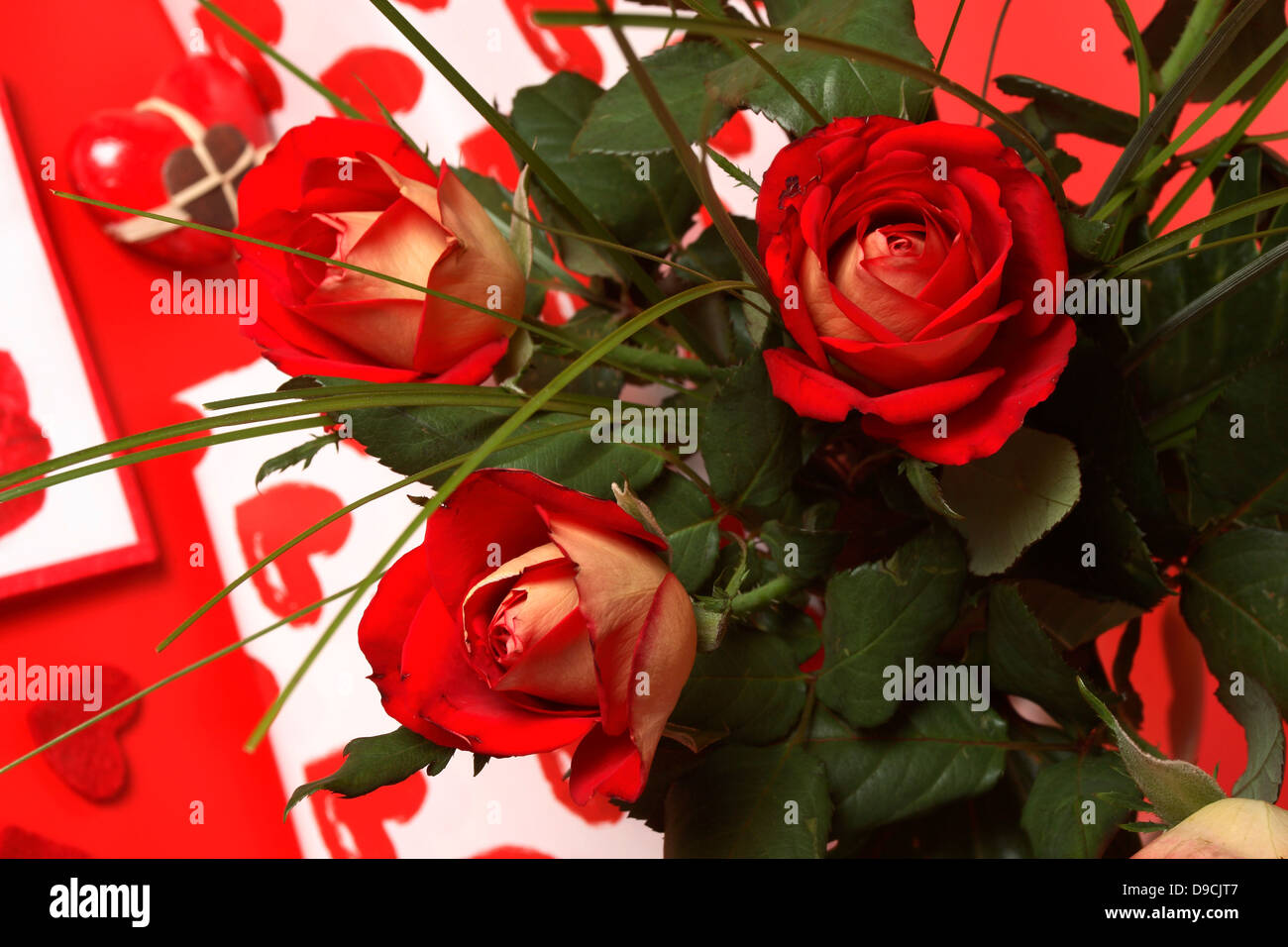Rosas rojas Foto de stock