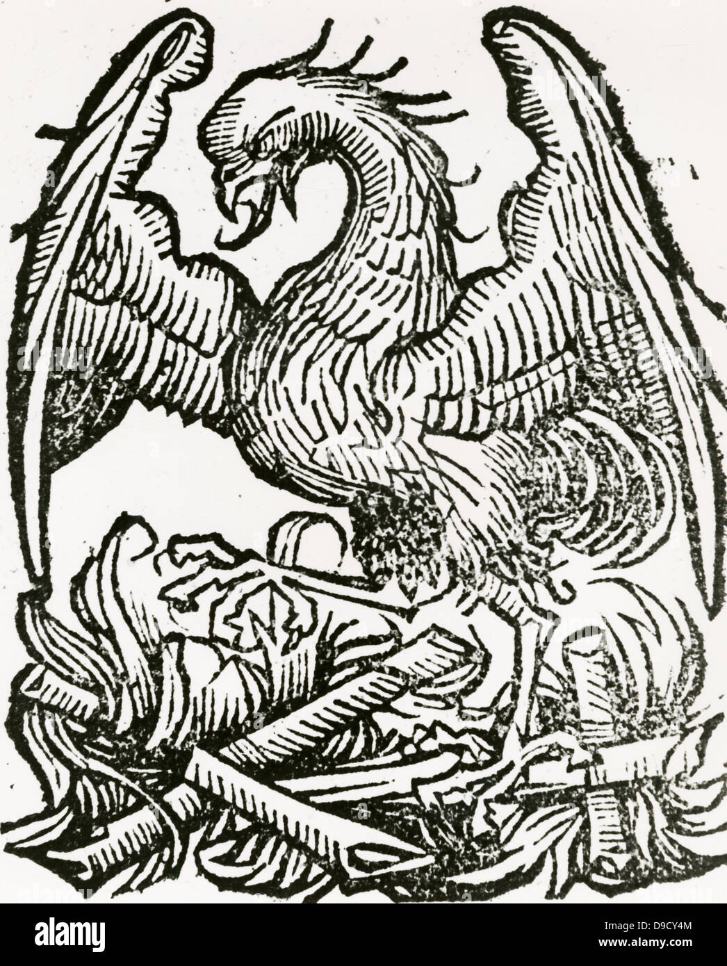 El Fénix, un pájaro fabuloso que al final de la vida hace un nido que se establece en el fuego, se quema para cenizas, entonces vuelve a la vida. Desde Liber chronicrum mundi, Nuremberg, 1493. Foto de stock