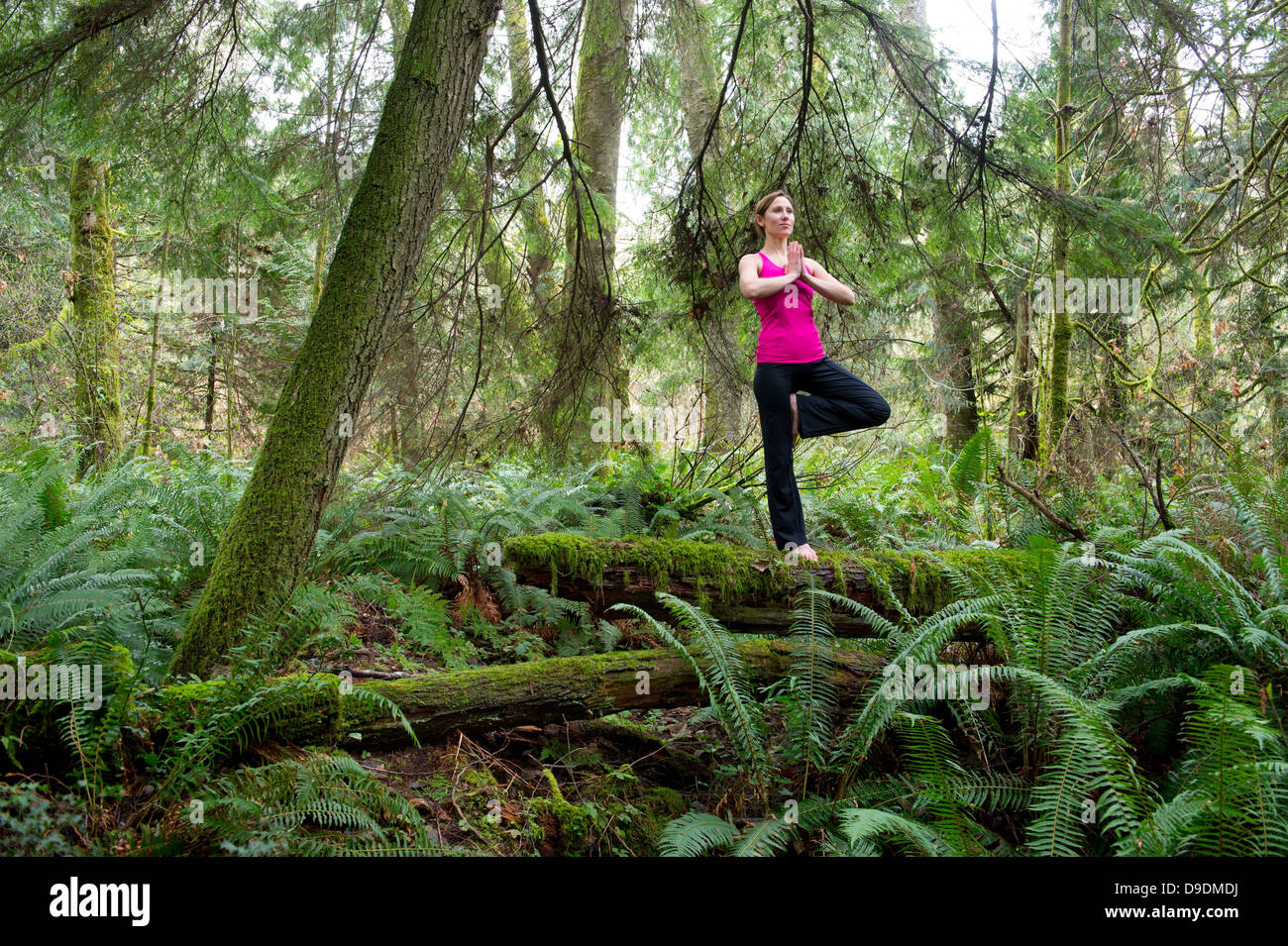 Mujer madura de realizar la postura del árbol en el bosque Foto de stock