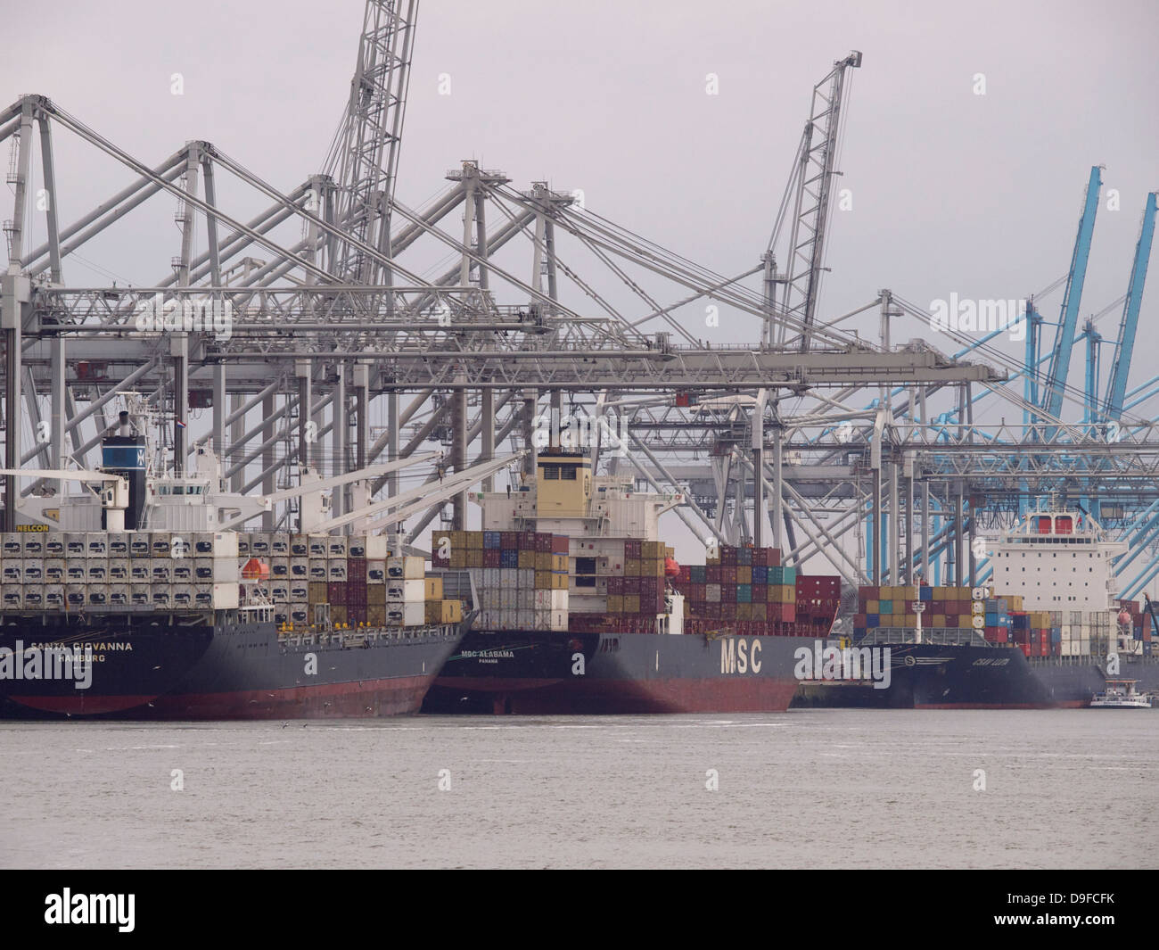 Las nuevas terminales de contenedores en el Maasvlakte 2, la zona de expansión del puerto de Rotterdam, Países Bajos Foto de stock