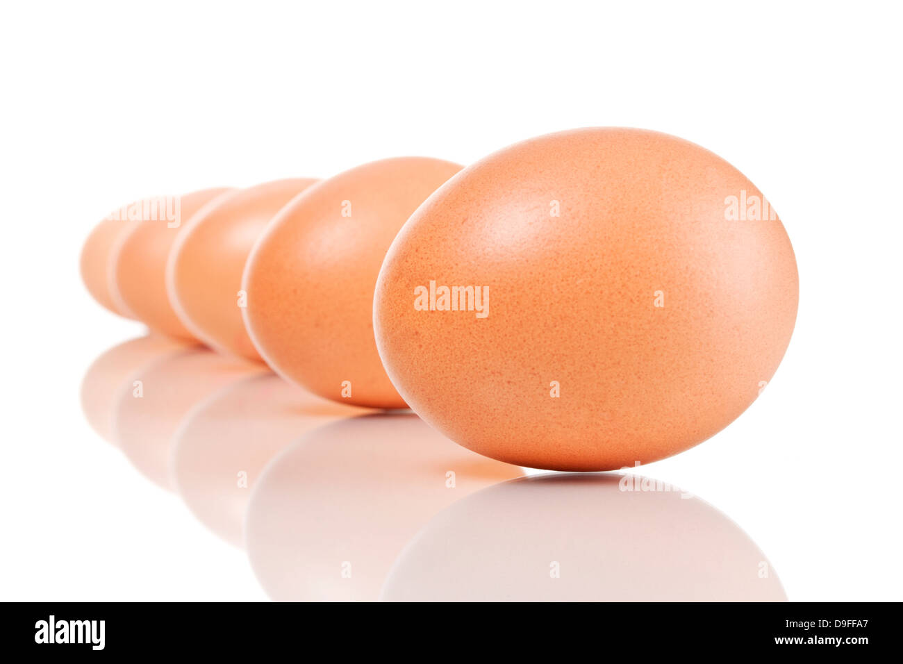 Biología huevos huevos orgánicos Foto de stock