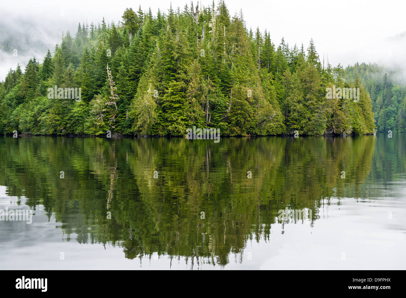 Paisaje costero en Great Bear Rainforest, British Columbia, Canadá Foto de stock