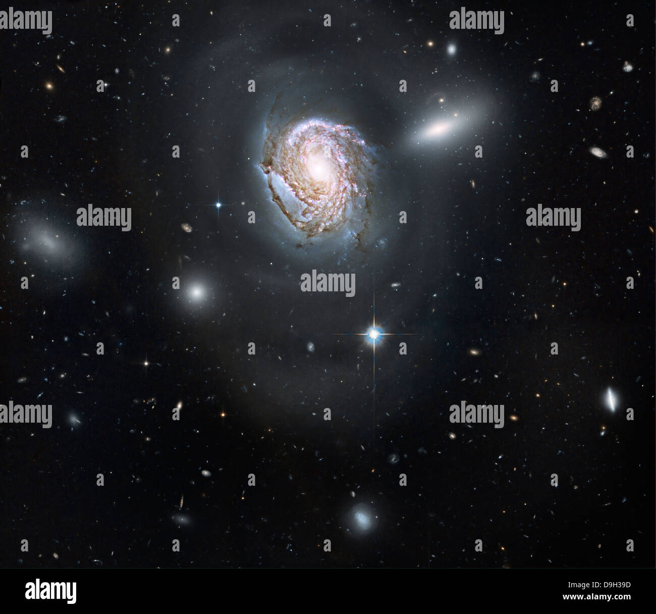Galaxia espiral NGC 4911 ubicada dentro del grupo de galaxias de coma. Foto de stock