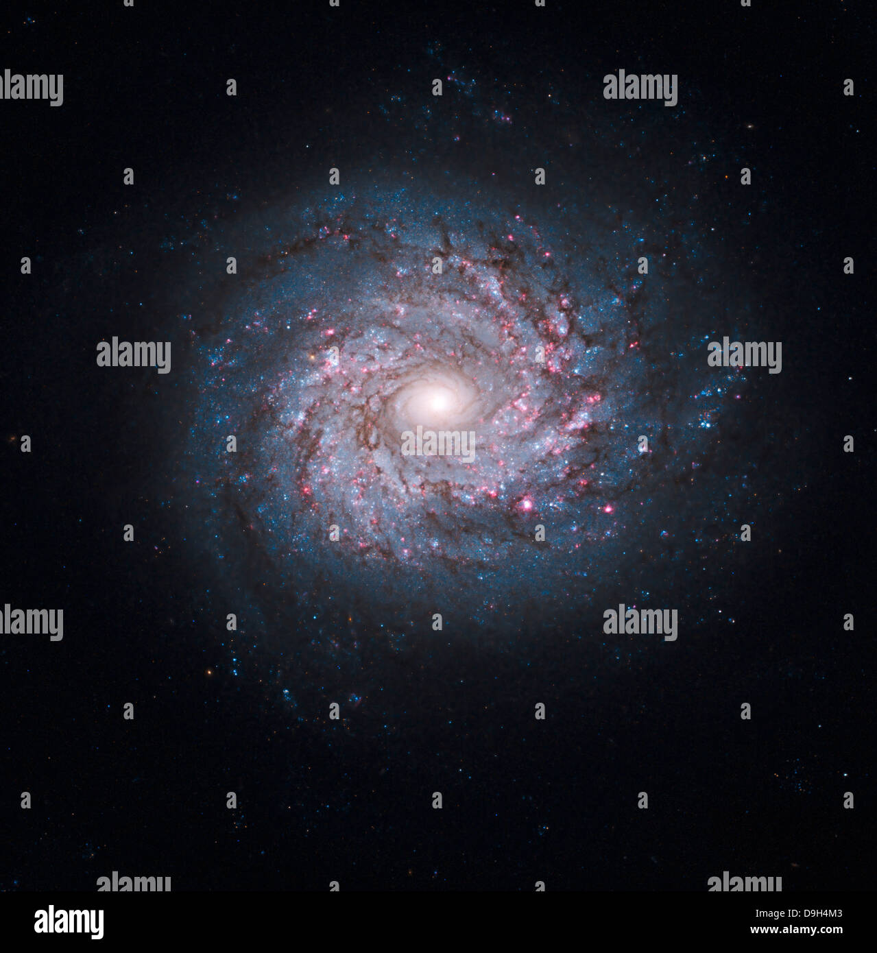 Cara en la galaxia espiral NGC 3982. Foto de stock
