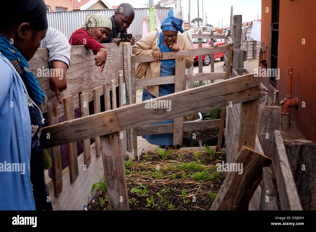 La vida del suelo, las sesiones de capacitación de la comunidad local en Gugulethu enseñó a los participantes las habilidades necesarias para crear vegetales orgánicos Foto de stock