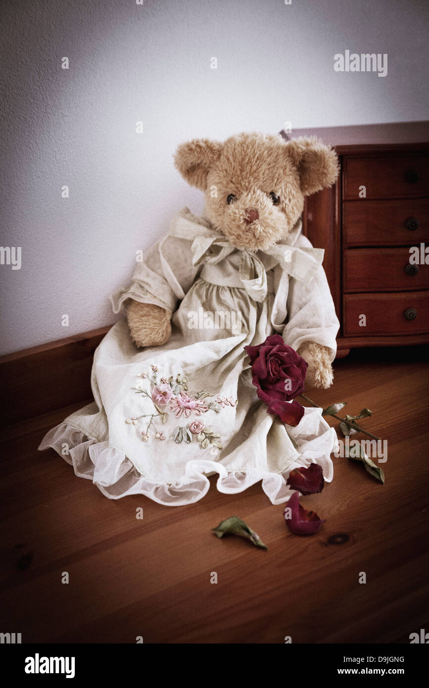 Triste buscando oso de peluche con flor rosa roja seca sentado en una mesa. Foto de stock