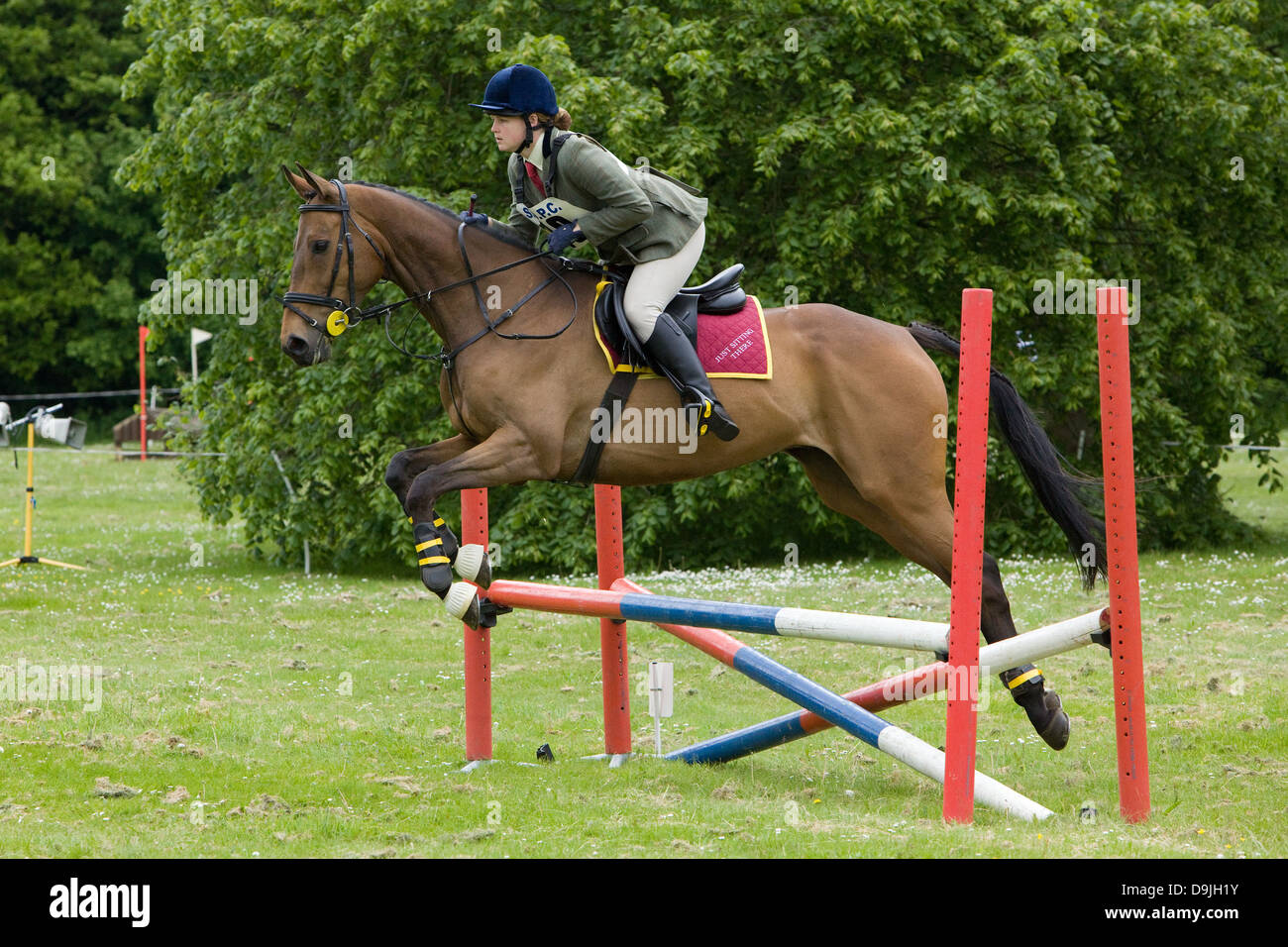 Un competidor que toman parte en un evento de un día. El evento se compone de doma, salto y Cross Country. Foto de stock