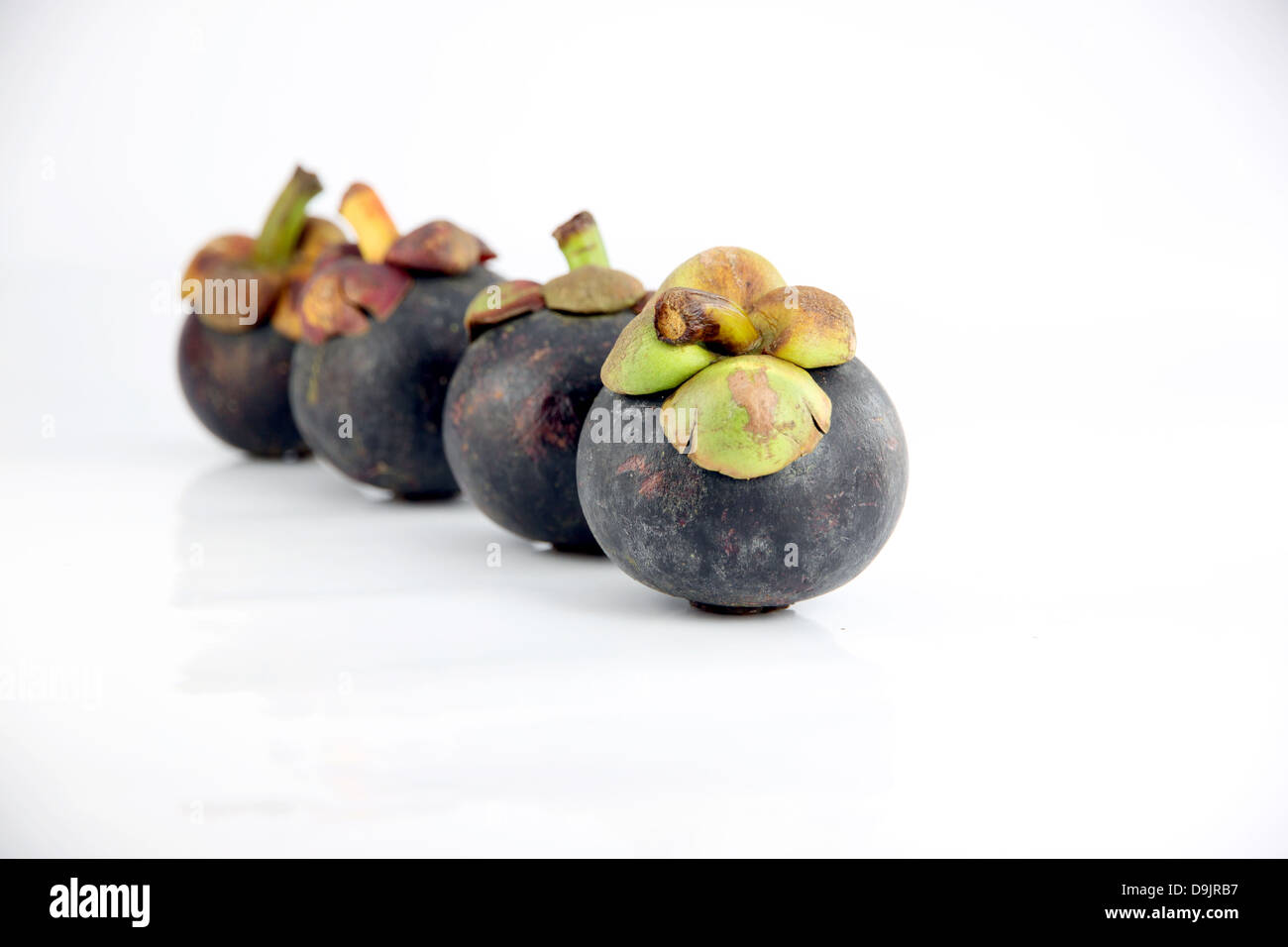 El mangostán es la fruta dulce y de sabor de frutas nacionales en Tailandia. Foto de stock