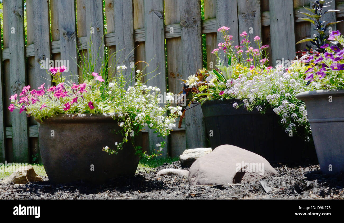 Flores en macetas de jardín al aire libre. Foto de stock