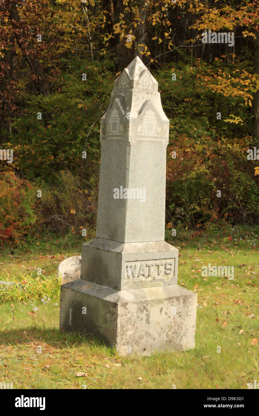 Lápida del cementerio lápida obelisco de mármol piedra vatios familia caída del árbol del otoño Foto de stock