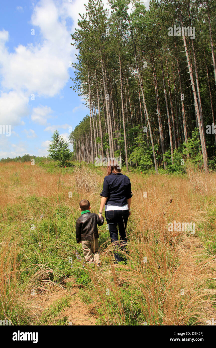 La joven madre e hijo caminar juntos en la soleada pradera abierta, con altos pinos cercanos y cielos expresiva sobrecarga. Foto de stock