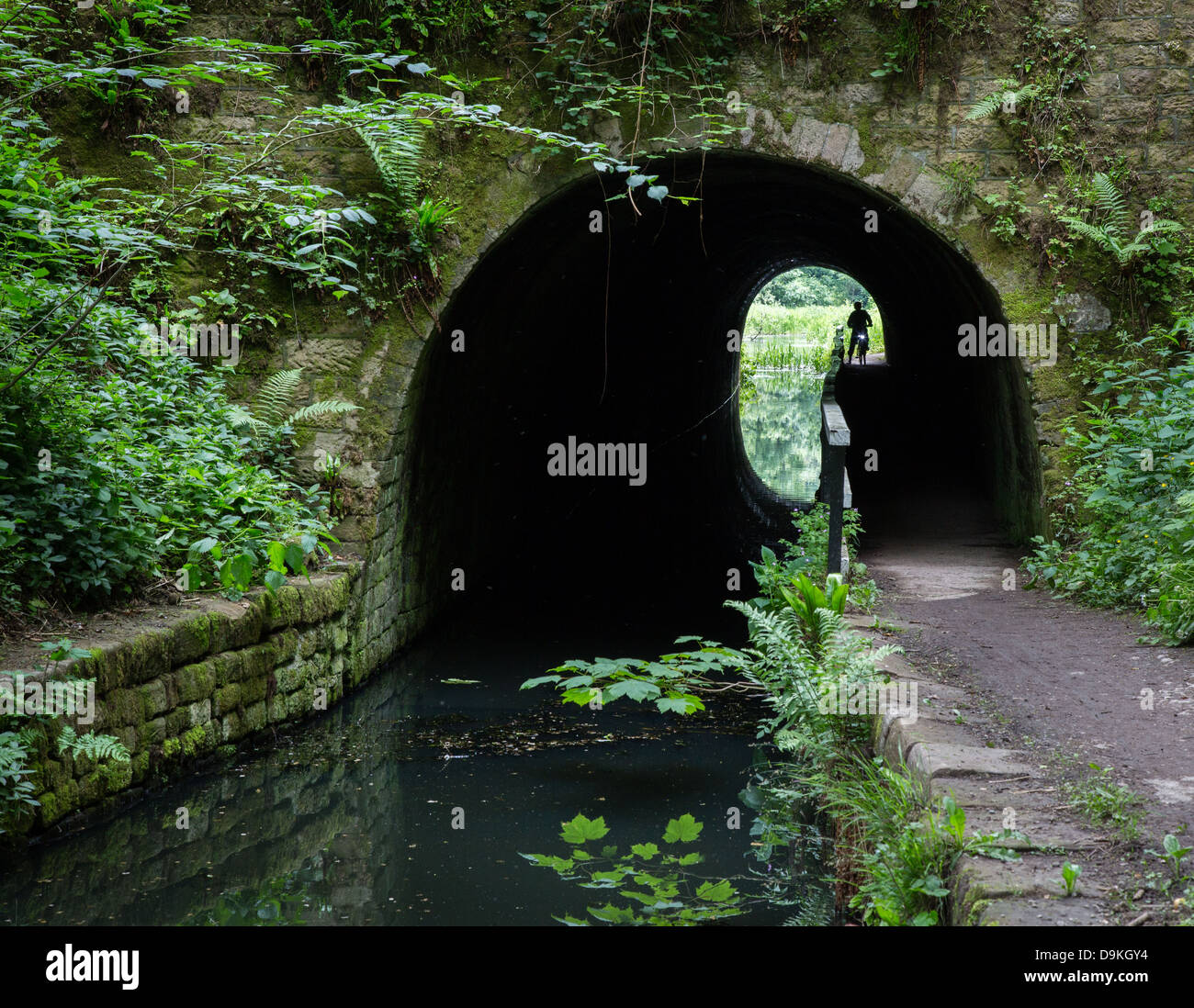 Ciclista entrando en el túnel de San Gregorio en el Canal de Cromford cerca de Matlock en Derbyshire, Reino Unido Foto de stock