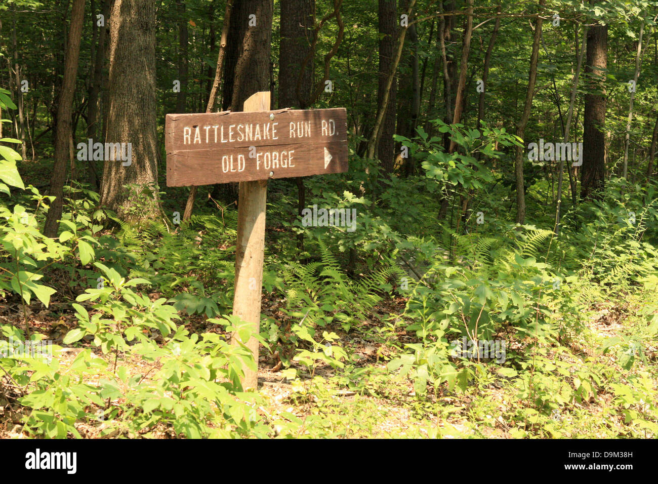 Signo de madera en el Appalachian Trail, Pennsylvania, PA, USA, cascabel run road, forja, Waynesboro, Franklin County, bosque Foto de stock