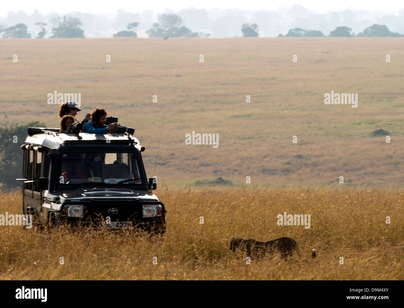 Alquiler jeep safari fotográfico Kenia Masai Mara Kicheche África Foto de stock