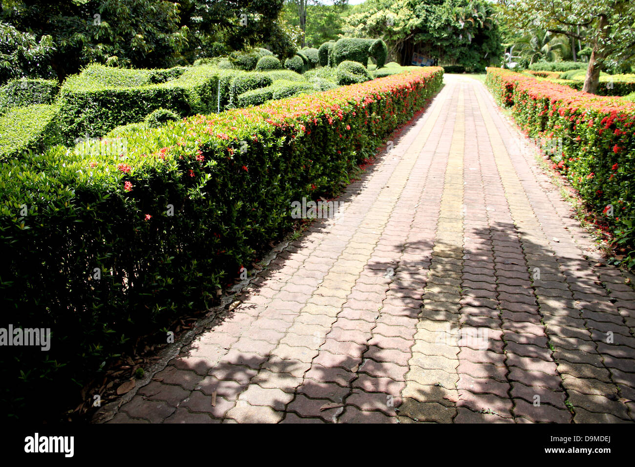El camino pavimentado con ladrillos en el jardín. Foto de stock