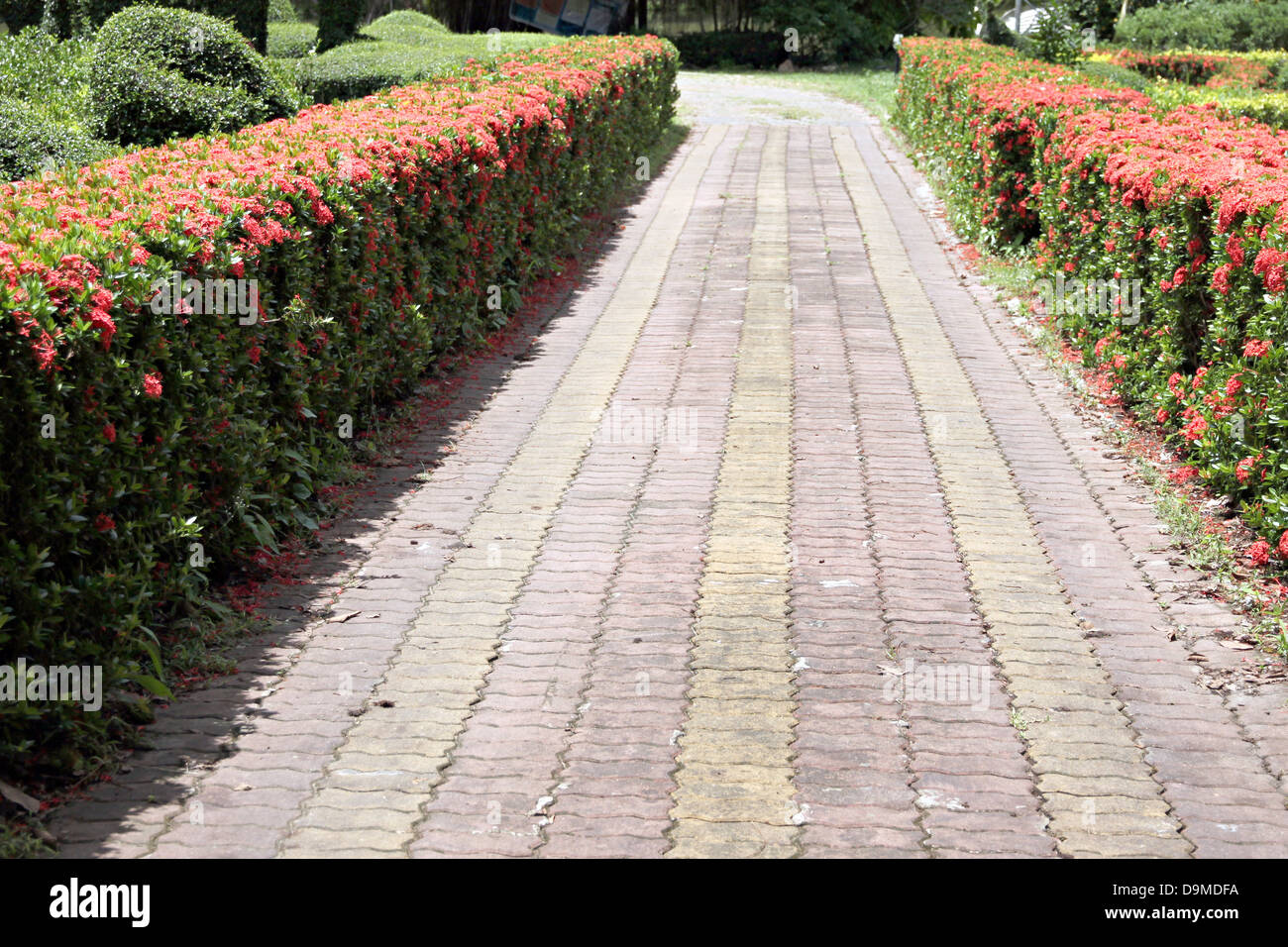 El camino pavimentado con ladrillos en el jardín. Foto de stock