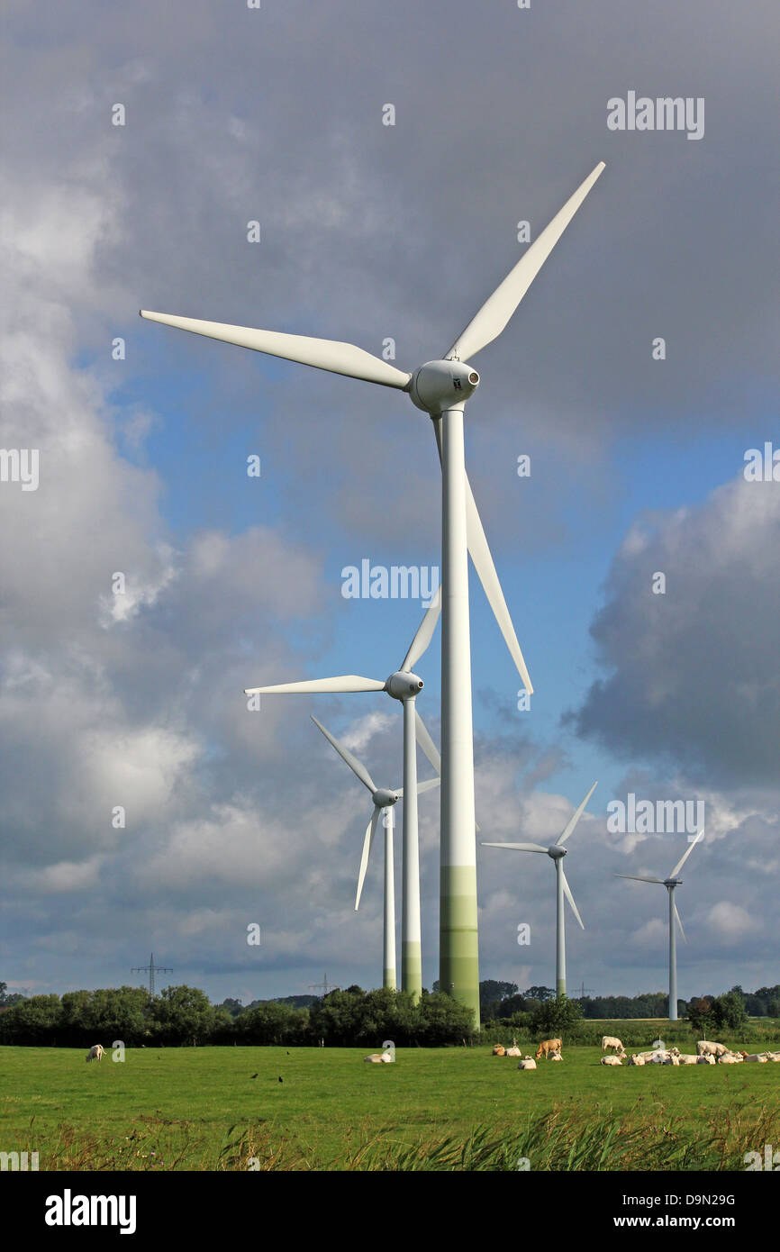 La energía, la fuerza del viento, arreglo, parque eólico, las turbinas eólicas, la disposición de la fuerza del viento, la construcción, el montaje, la compañía, el viento mo Foto de stock