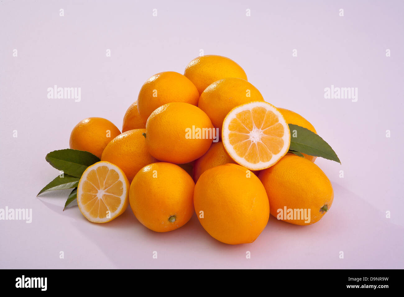 Grupo de limones cortados y todo Meyer limones agrios Foto de stock