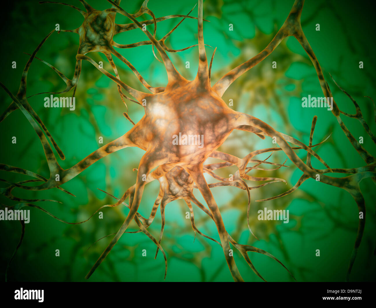 Vista microscópica de múltiples células nerviosas, conocidas como neuronas. Foto de stock