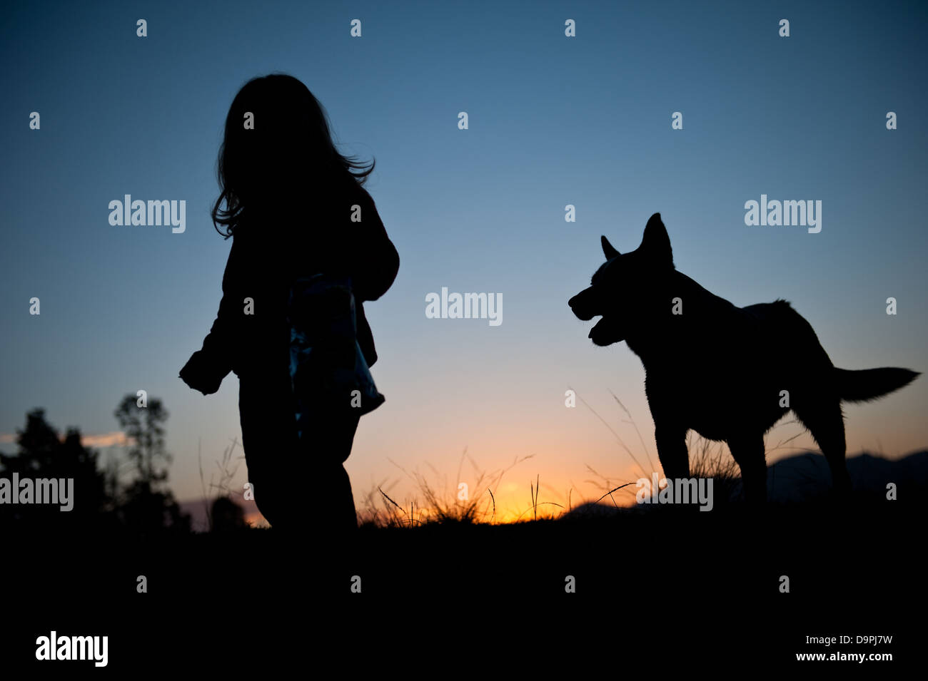 Hermoso atardecer silueta de niño pequeño chica con cabello ondulado caminar en el campo con su perro cerca detrás de ella. Foto de stock